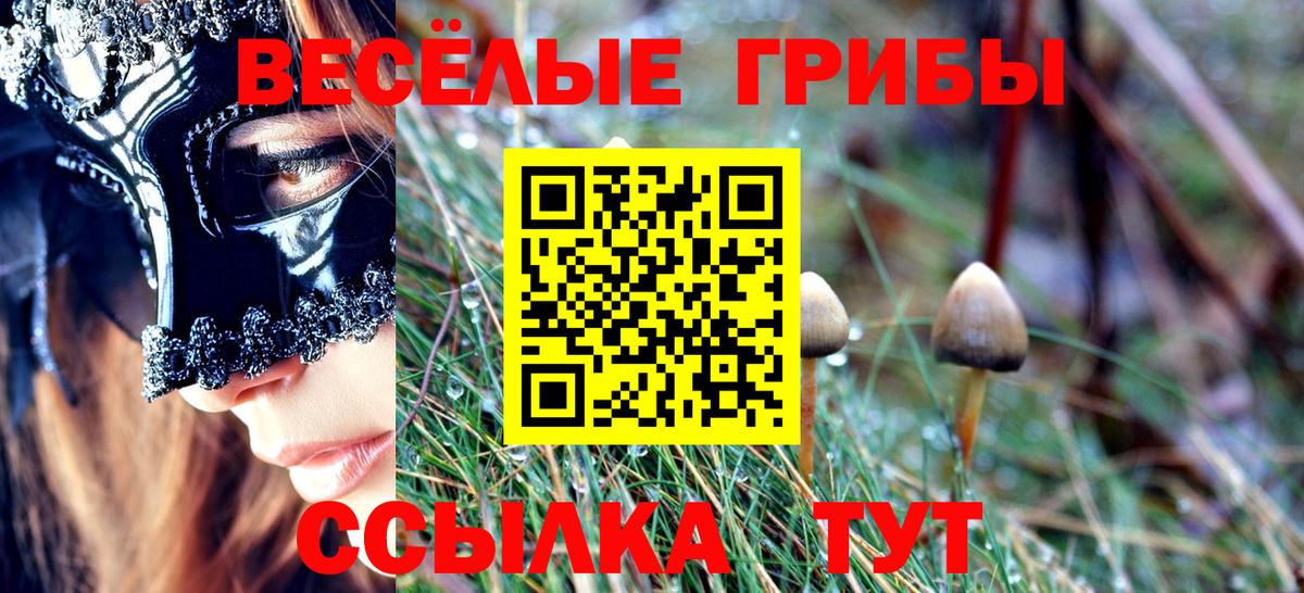 Галлюциногенные грибы Psilocybine cubensis  как найти закладки  Кисловодск  Псилоцибиновые грибы Psilocybe  Вход с VPN 