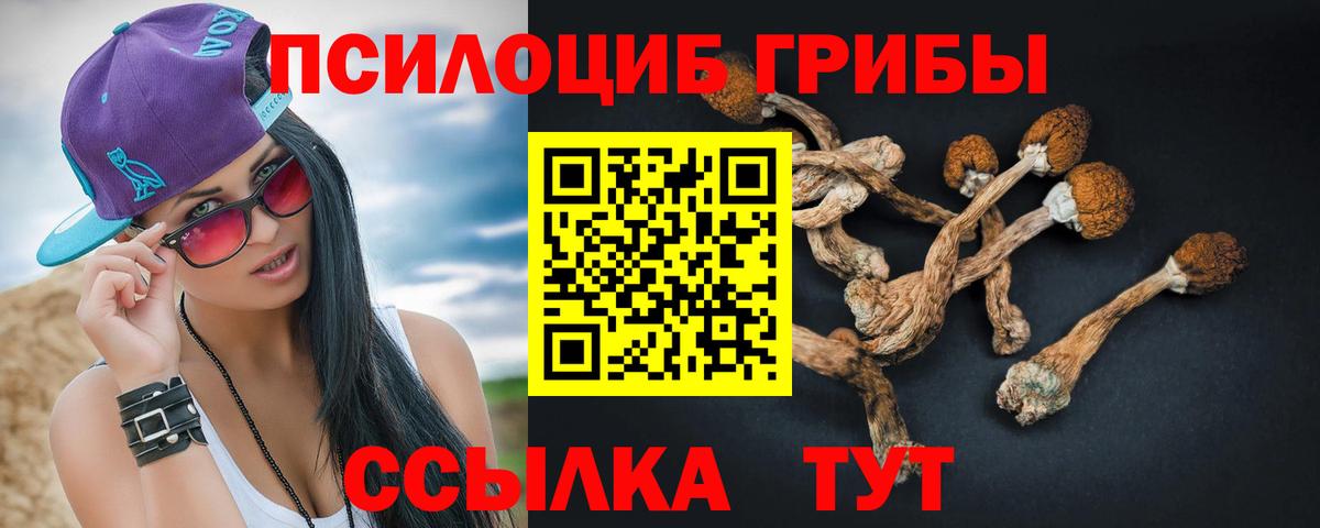 Галлюциногенные грибы MAGIC MUSHROOMS Кисловодск