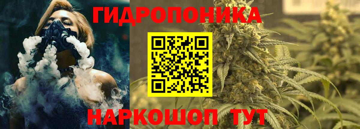 Бошки Шишки конопля Кисловодск