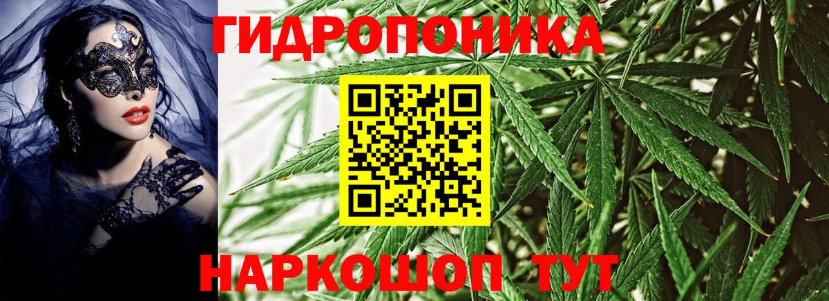 МАРИХУАНА семена  Канабис план  Бошки Шишки конопля  Кисловодск  Вход с VPN 